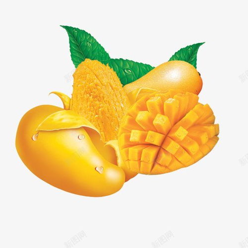 热带灵感 融合新鲜水果与绿叶的设计素材宝库